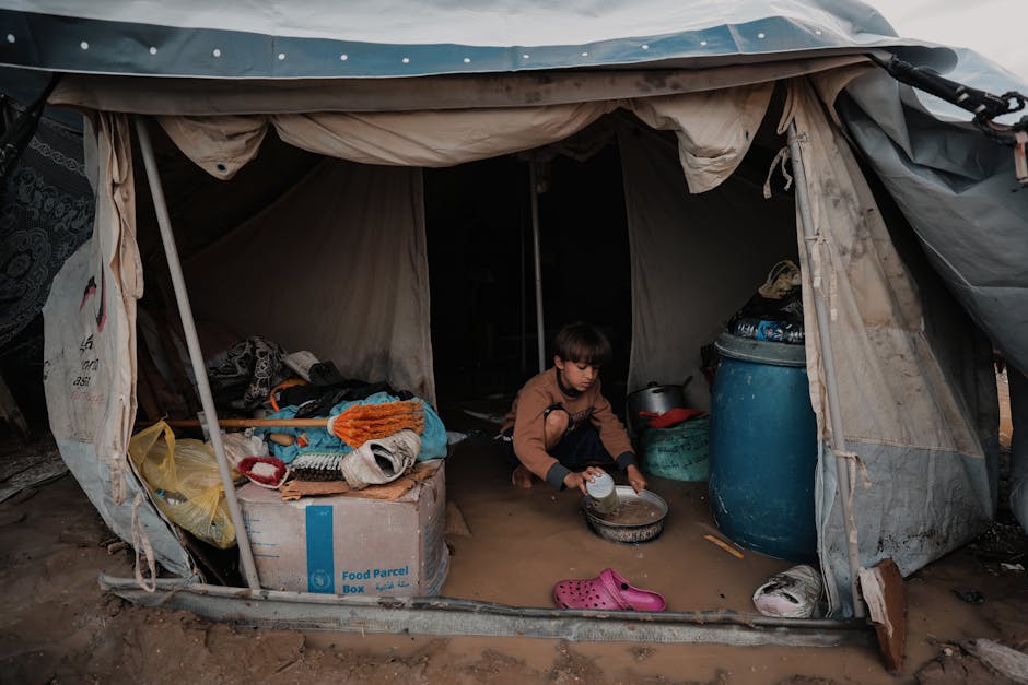 Global Food Crisis Triggers $500 Billion Agricultural Technology Investment Boom Across Developing Nations