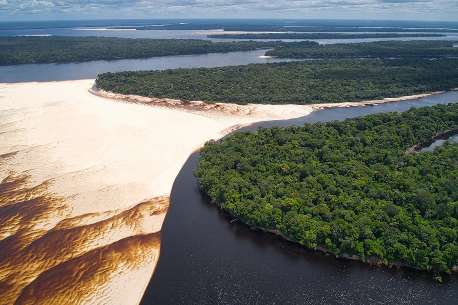 Brazil Amazon Rainforest Restoration Project Achieves Milestone with 1 Million Acres Replanted Using Revolutionary Drone Technology