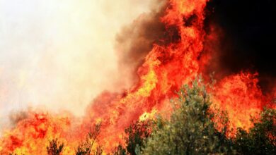 Dramatic wildfire flames and smoke rising above forested hills during active fire emergency