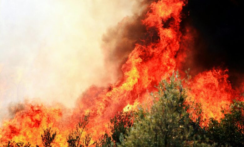 Dramatic wildfire flames and smoke rising above forested hills during active fire emergency