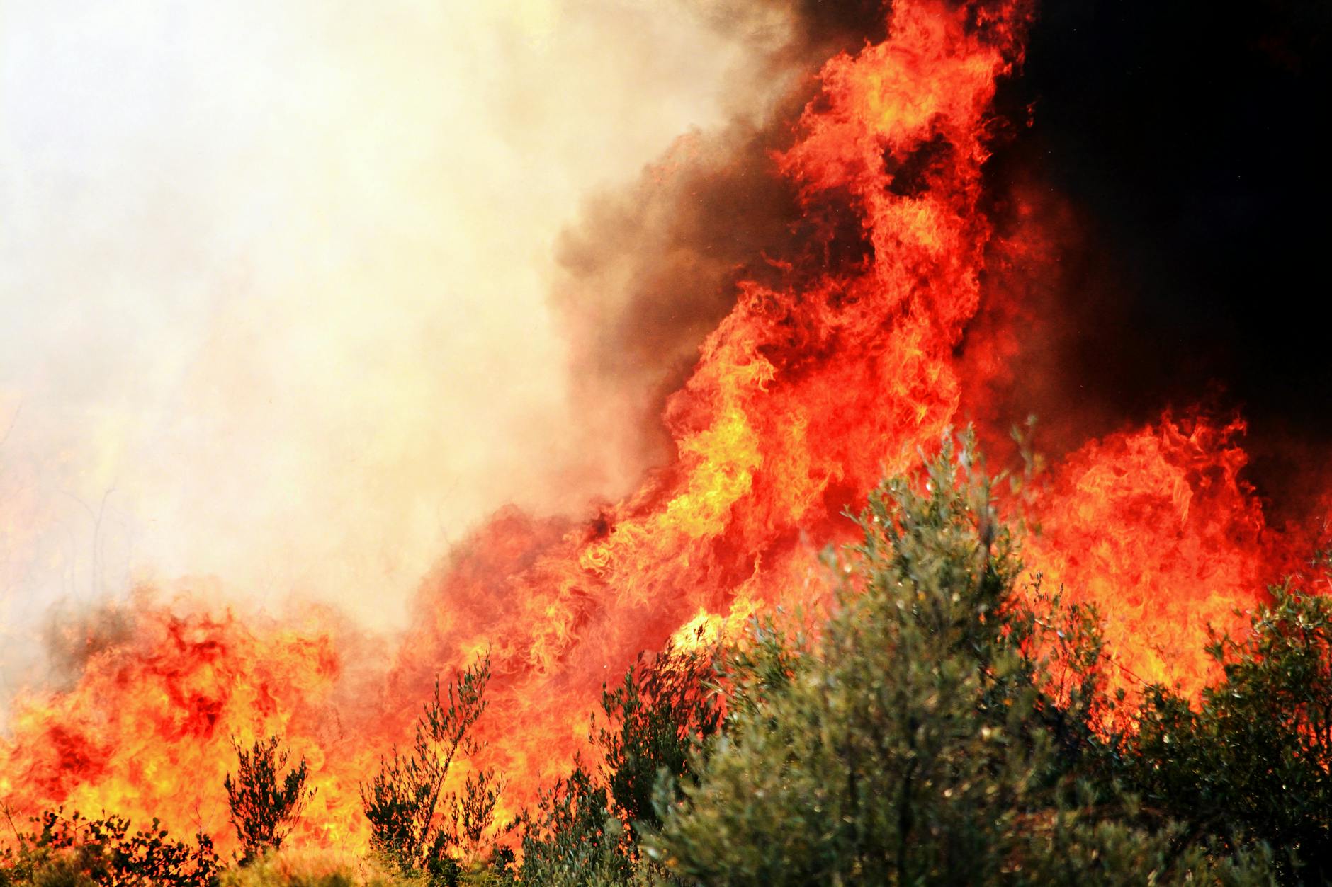 Dramatic wildfire flames and smoke rising above forested hills during active fire emergency
