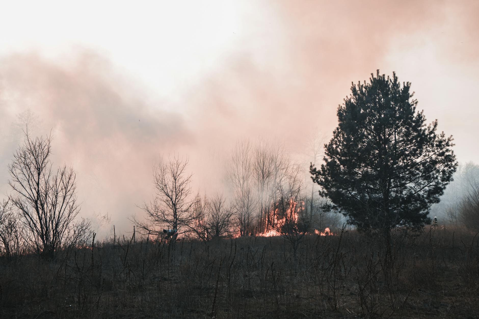 Thick smoke and flames from devastating wildfires consuming rural landscape