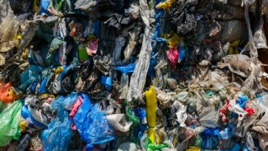 Plastic waste and pollution highlighting environmental concerns addressed by China's new ban