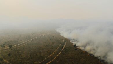 Thick smoke billowing from wildfire across mountainous landscape during emergency response