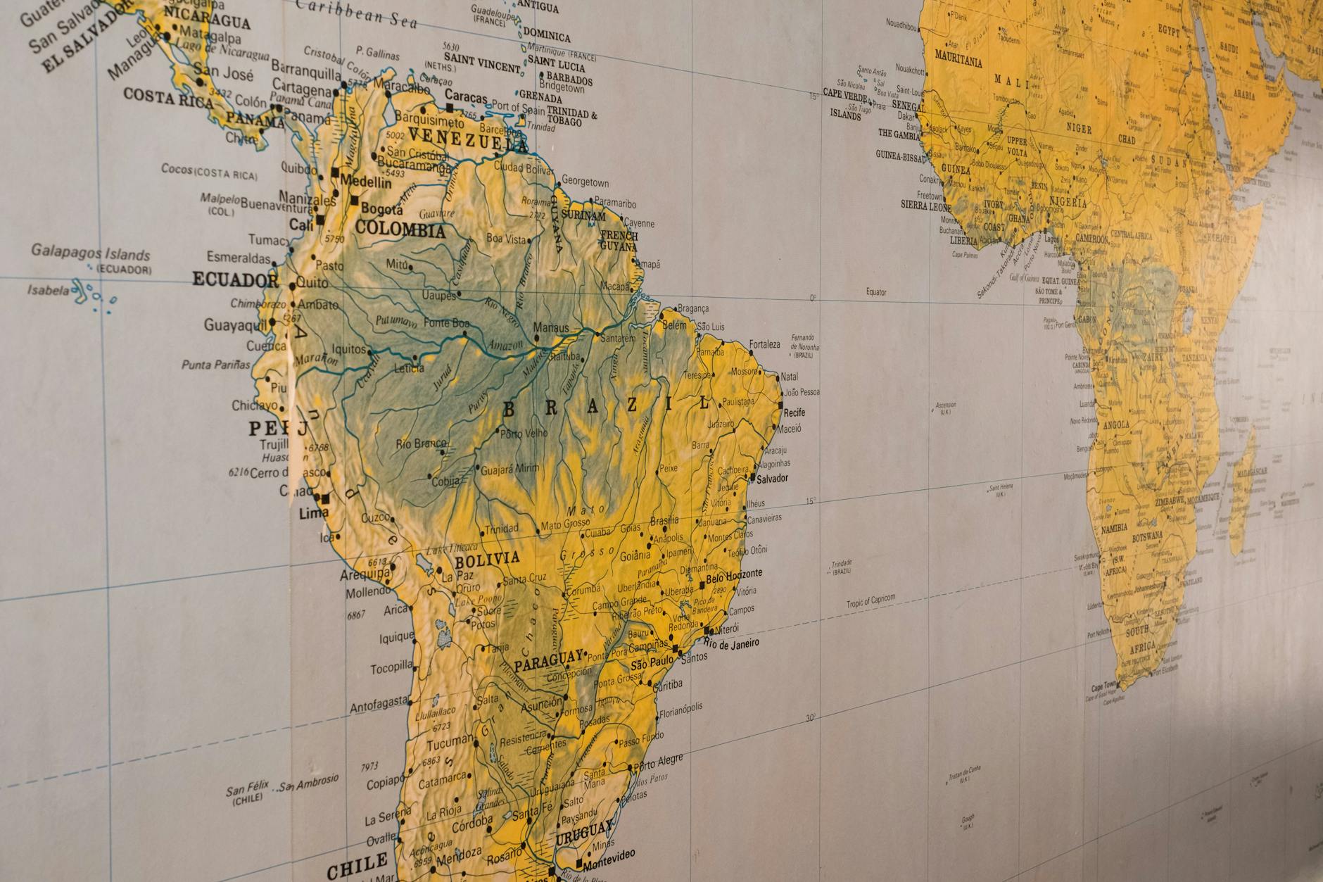 Detailed world map showing global regions and continents for international business expansion