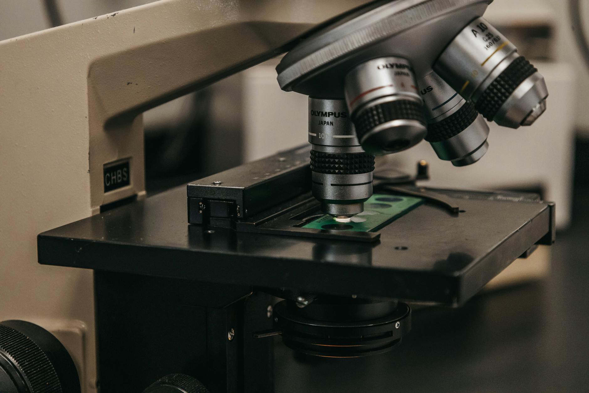 Scientists working in marine biology laboratory with equipment and coral specimens